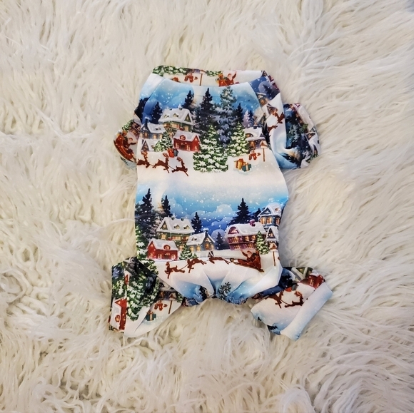 Other - 🇺🇸NWOT Christmas Pajamas /Outfit Size Small